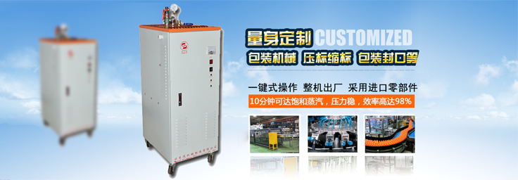 12-24kw机械包装小型蒸汽发生器