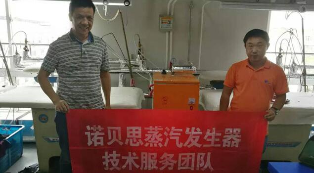 青青草精品视频蒸汽发生器