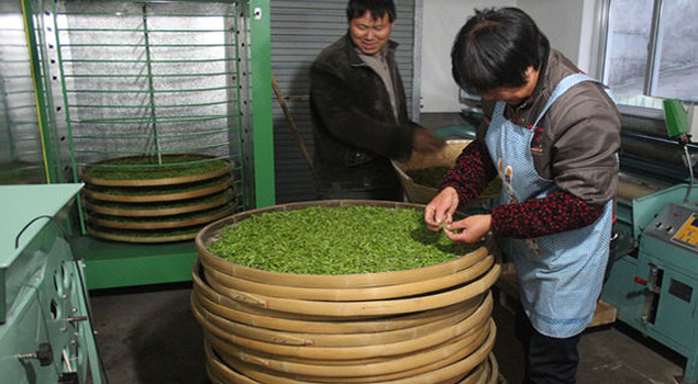 茶叶加工蒸汽发生器