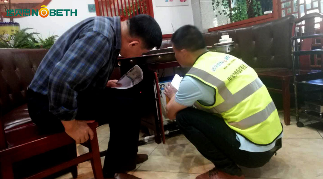 迷你型青青草免费在线观看视频