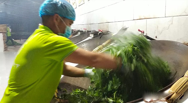 电气化制茶成主流，蒸汽发生器让制茶无烟化，实现零排放的环保目标